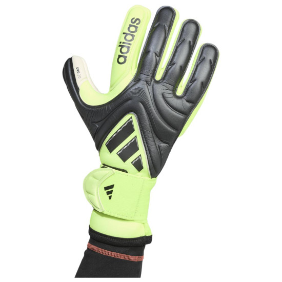 Adidas Γάντια τερματοφύλακα Copa Pro Goalkeeper Gloves